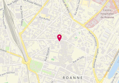 Plan de Lise et Perrine Institut, 20 Rue Bourgneuf, 42300 Roanne