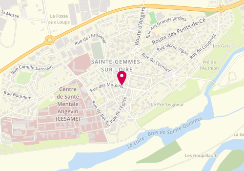 Plan de Anne Isabelle Institut, 15 Rue des Moulins, 49130 Sainte-Gemmes-sur-Loire